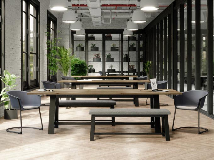 Midtown Collection