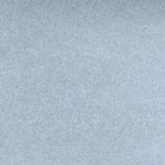 Silver Swatch